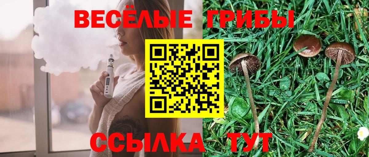 Галлюциногенные грибы мухоморы  Вход с VPN  Хабаровск 